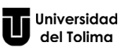 uni-tolima-logo-ne